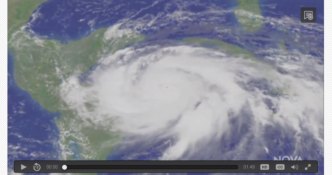 Screenshot of the video.