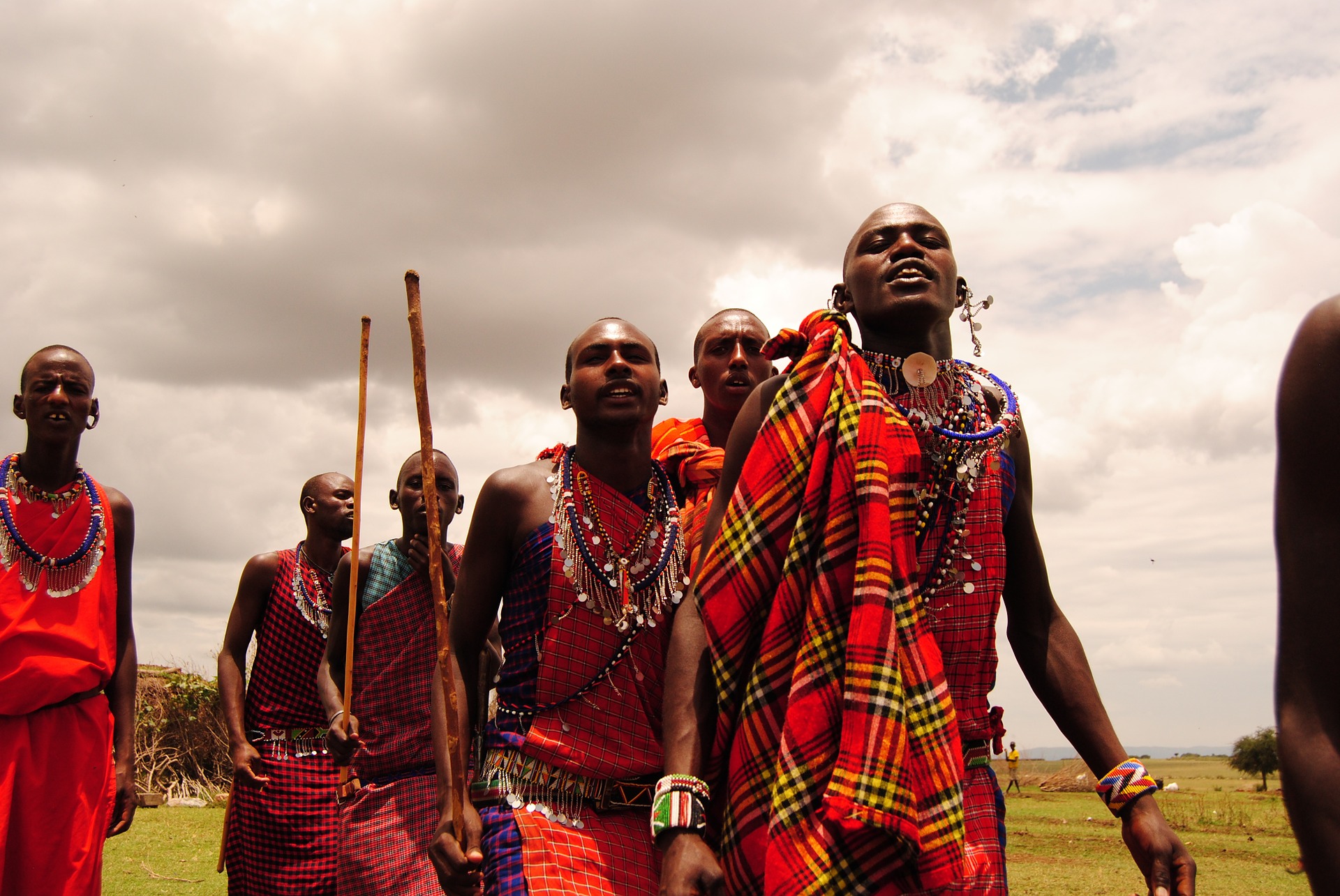 This is an image of Maasai indigenous people walking across a grassland.