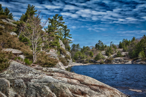 he rocky shore of the Canadian Shield meet a deep blue lake.  The shore is made up of large slabs of rock which house trees. 