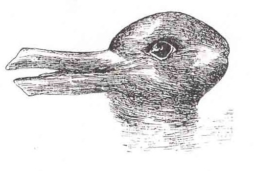 This is an example of an optical illusion. The viewer stares at the image and sees a duck. But, the longer the viewer stares, the duck can appear to be a bunny.