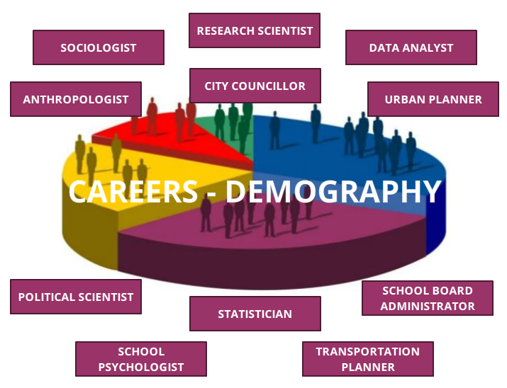 Careers that are related to Demography and Population Studies: Sociologist; Transportation planners; Urban planners; City councillors; Anthropologists; School board administrators; Political scientists/analyst; School psychologists; Statistician/Data Analyst; Research scientist.