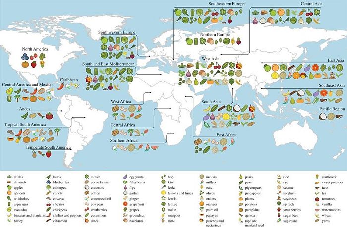 This is a world map showing the region where different foods originated. The map includes an extensive legend of roughly 80 foods. 17 regions of the world are identified and a chart is provided for each, listing all of the foods native to or originating from that region.