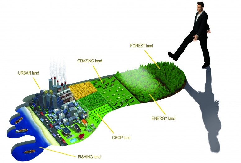 This is a graphic of different kinds of land use. Drawn in the shape of a foot, the graphic depicts water (fishing), urban areas, cropland, grazing land, energy producing land and forest.