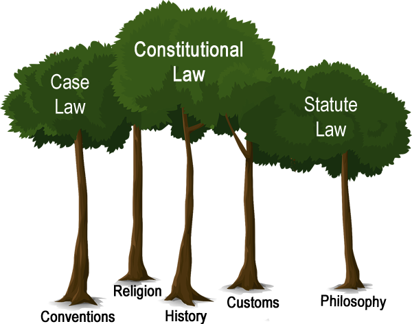 Graphic of a tree with the words religion, philosophy, history, customs and conventions at the roots and constitutional law, statute law and case law at the top.