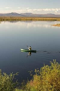 This is an image of a person in a green canoe paddling across a very still body of water on a sunny day.