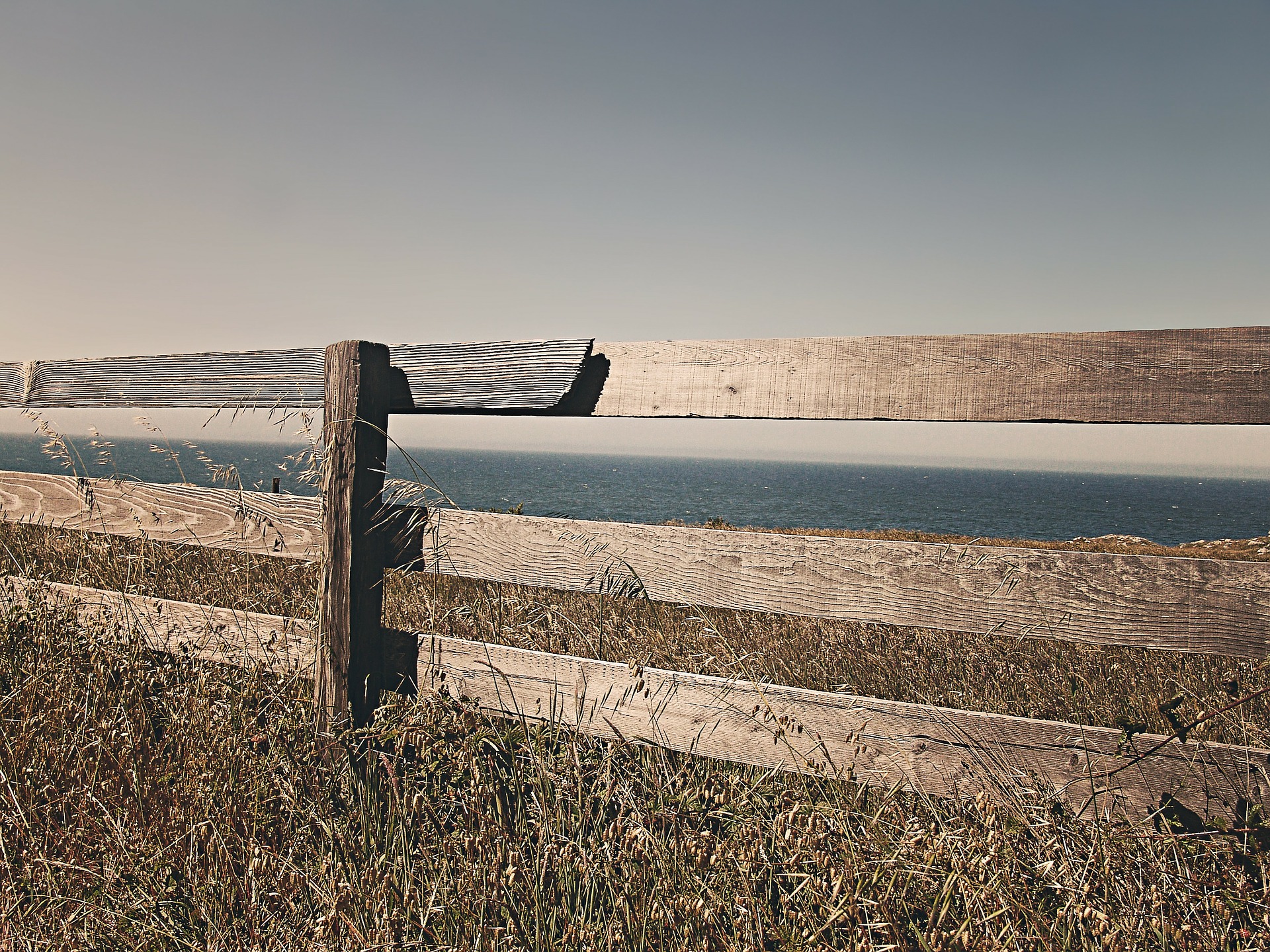 This is an image of a close up of a wooden fence.