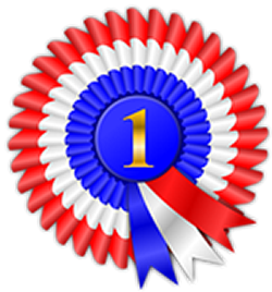 This is an image of an award ribbon with a number one in the centre.