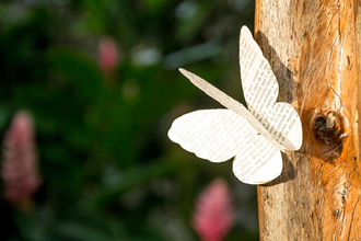 This is an image of a poem that has been designed to look like a butterfly. It is perched on a tree.