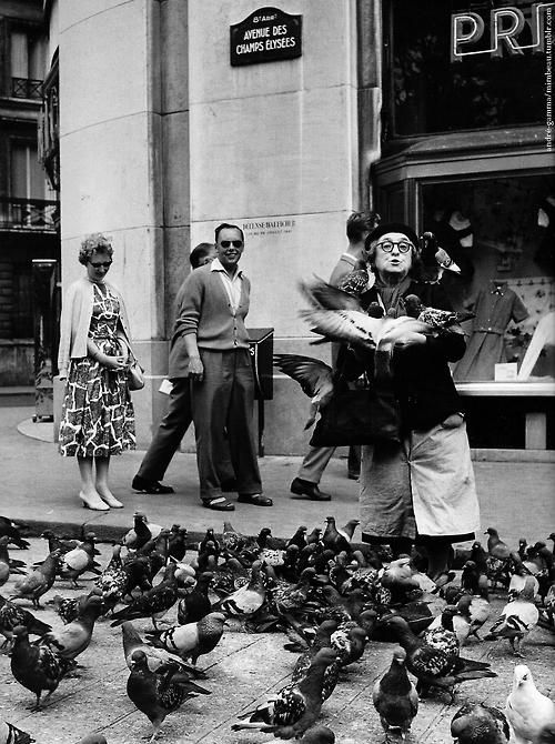 Une vieille dame nourrit les pigeons dans une rue a Paris.