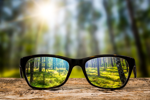 This is an image of a pair of glasses bringing a forest into sharp focus.