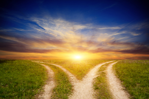 This is a dirt road diverging as it heads towards a sunset.