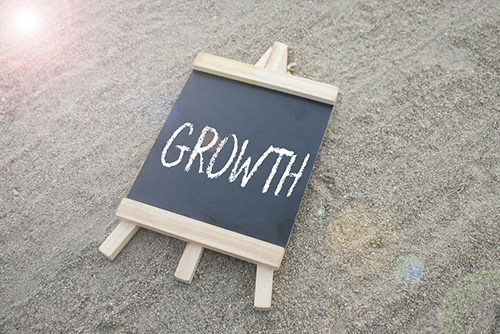 This is an image of a chalk board with the word growth written on it.