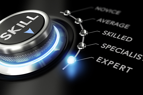 This is an image of a dial with word skill in the center pointing to a setting with the label expert.