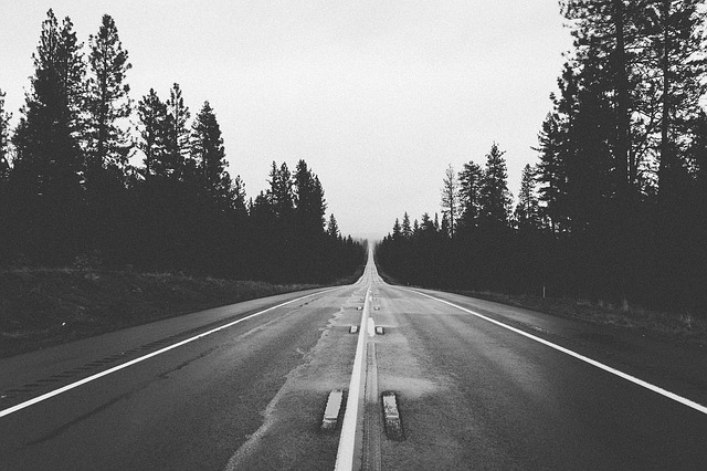 This is a black and white photograph looking down a two-lane, tree-lined country road.