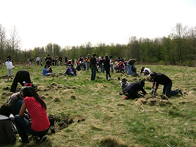 This is a photograph of several people planting trees in a field.