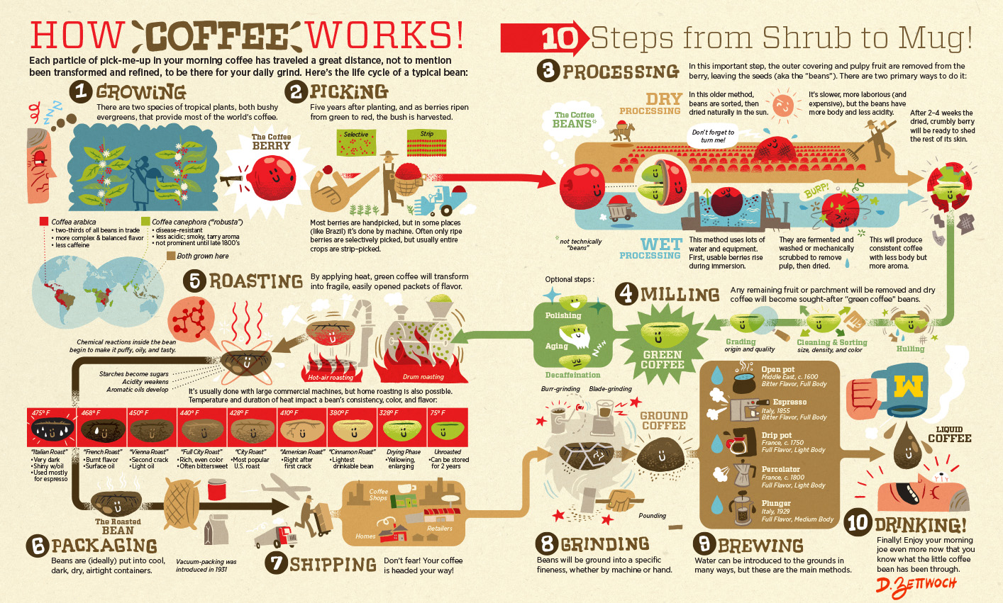 How coffee works infographic.