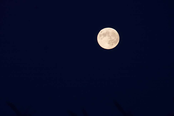 This is an image of full moon high in the sky.