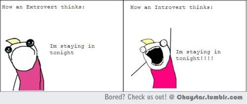 This is an image of a cartoon that is meant to illustrate the difference between introversion and extroversion.