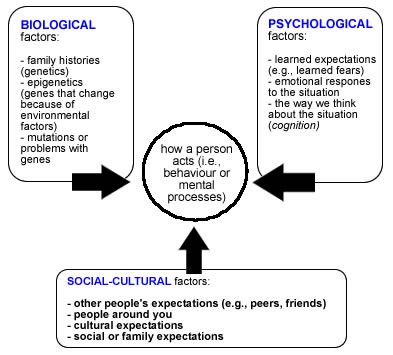 This is a flowchart of the biopsychosocial model of behaviour. It explains that behaviour is an interplay or interaction between a person’s biological, psychological, and sociocultural factors.