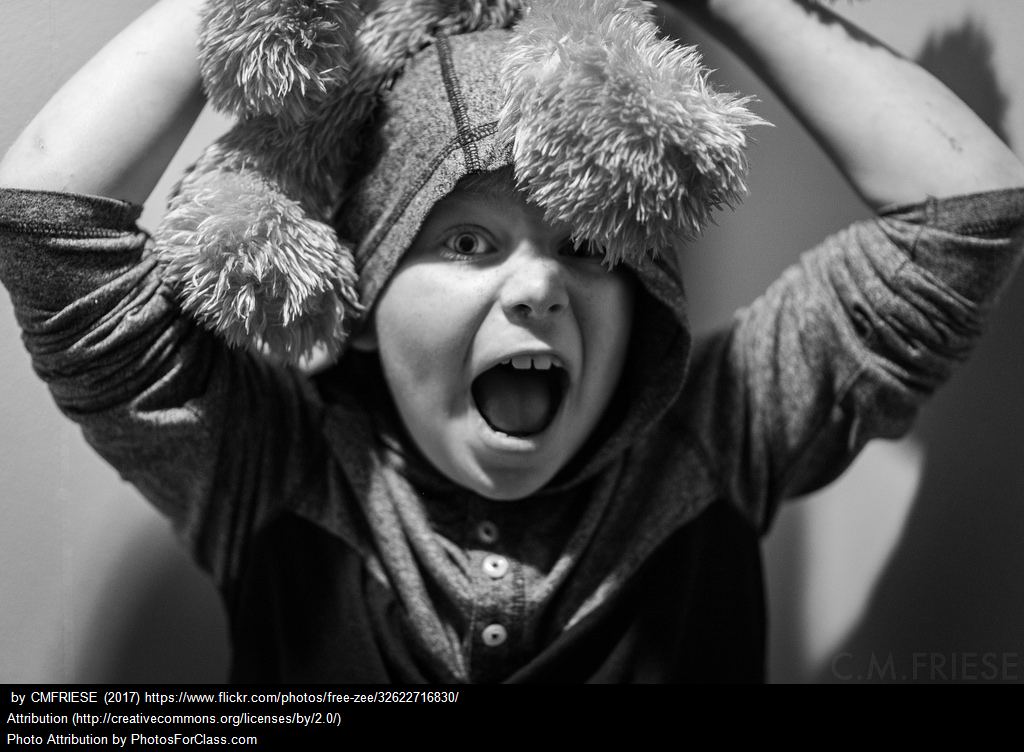 This is an image of a child wearing a furry hat with great big pom-poms and has a goofy grin on his face.