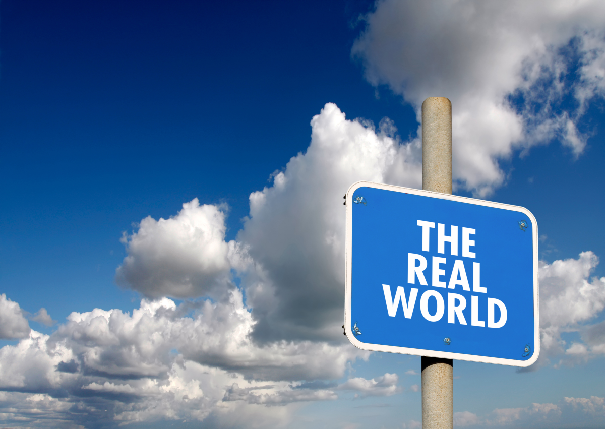 This is an image of a sign that reads, ‘The Real World.