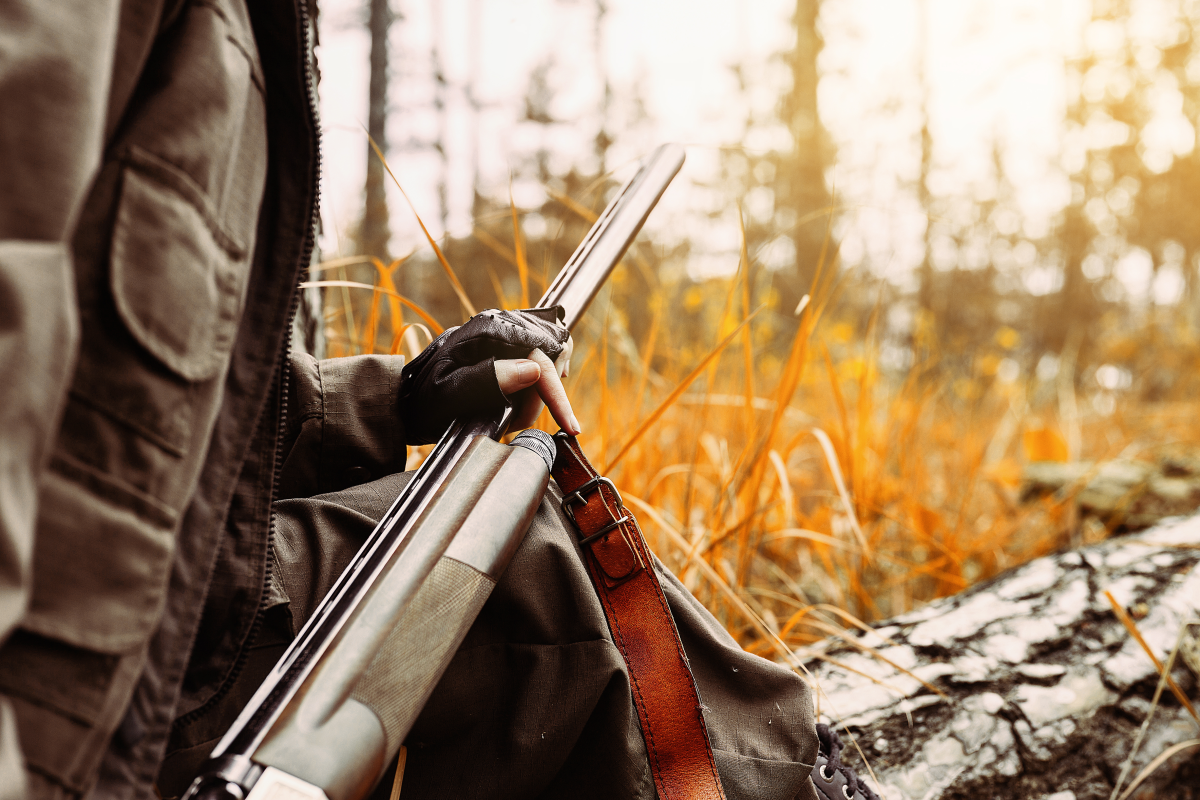 This is an image of a hunter in the woods with a gun.