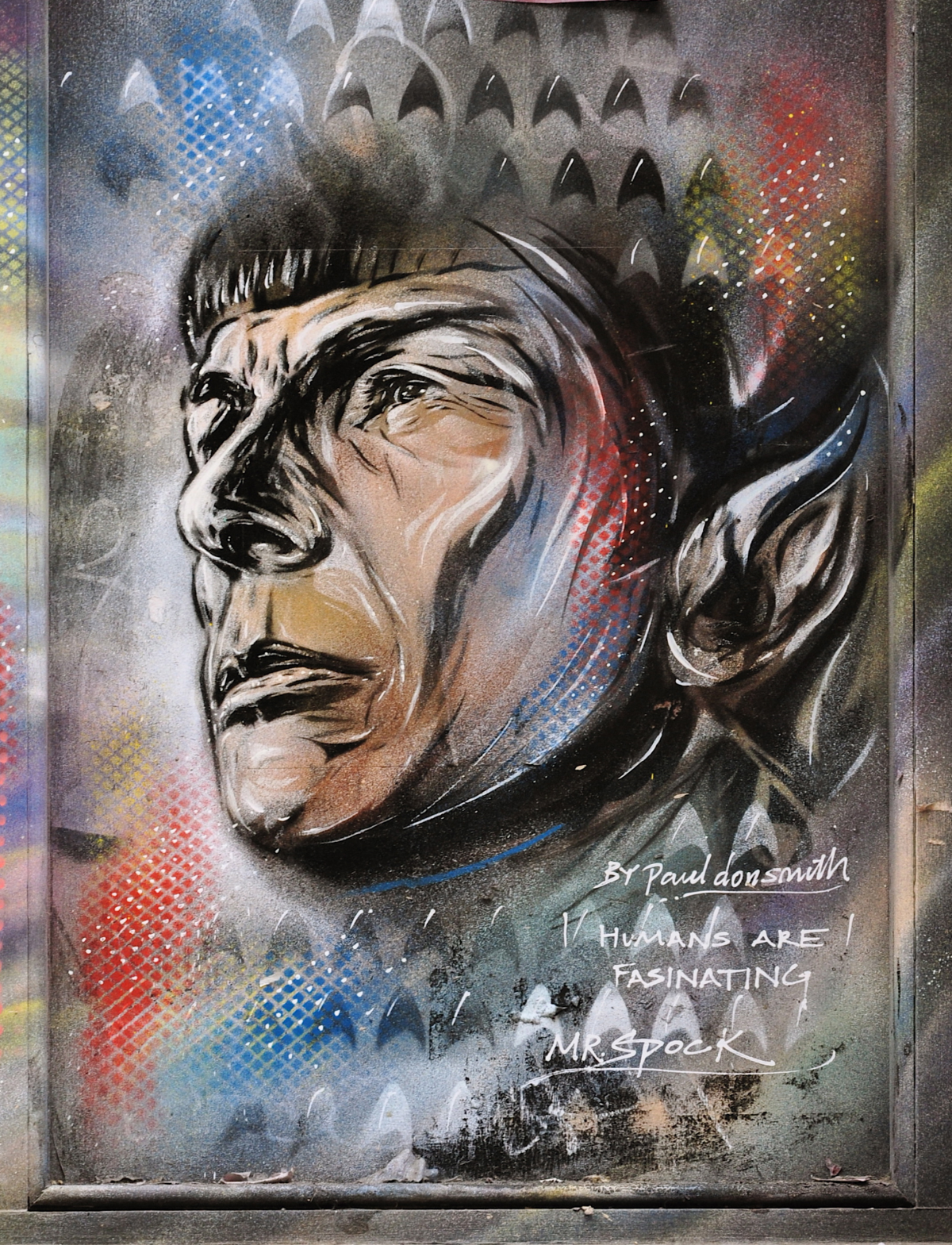 This is an image of the fictional character of Mr. Spock from the iconic television series.