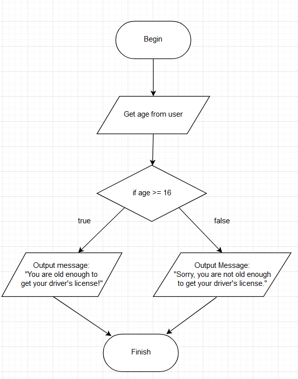 This is a flowchart indicating the decisions to be made in the driver's license program.