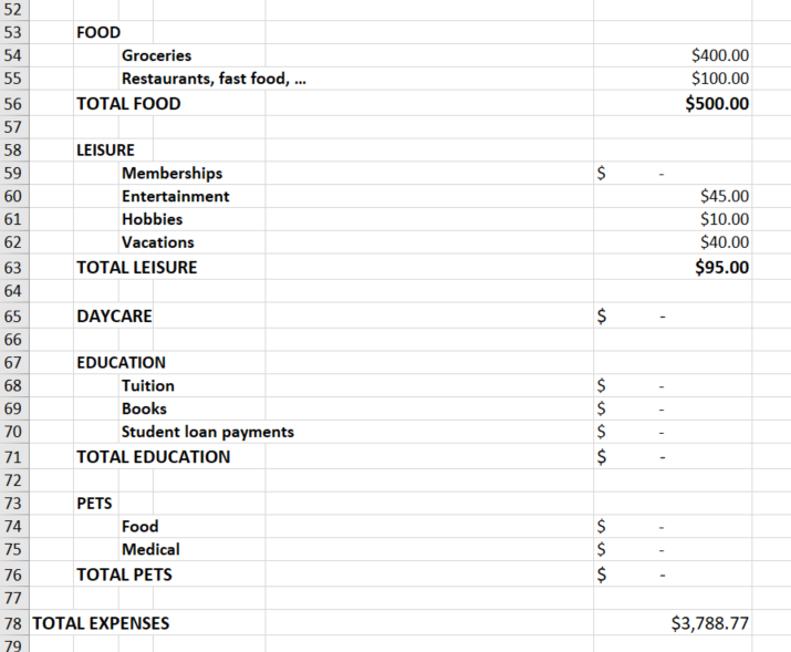 This is an image of Jeff's budget that includes his expenses related food, leisure, daycare, Education and pets .
