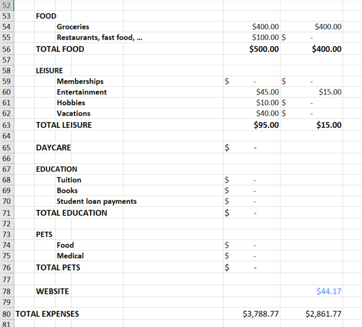 This is an image of Jeff's budget that includes his expenses related food, leisure, daycare, Education and pets .