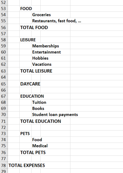 This is an image of Jeff's budget that includes his expenses related food, leisure, daycare, Education and pets .