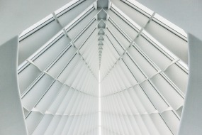 An image of a ceiling supported by a pattern of beams.