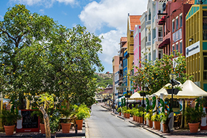 An image of city street with vibrant coloured houses and cafes, verdant trees and a beautiful sky.