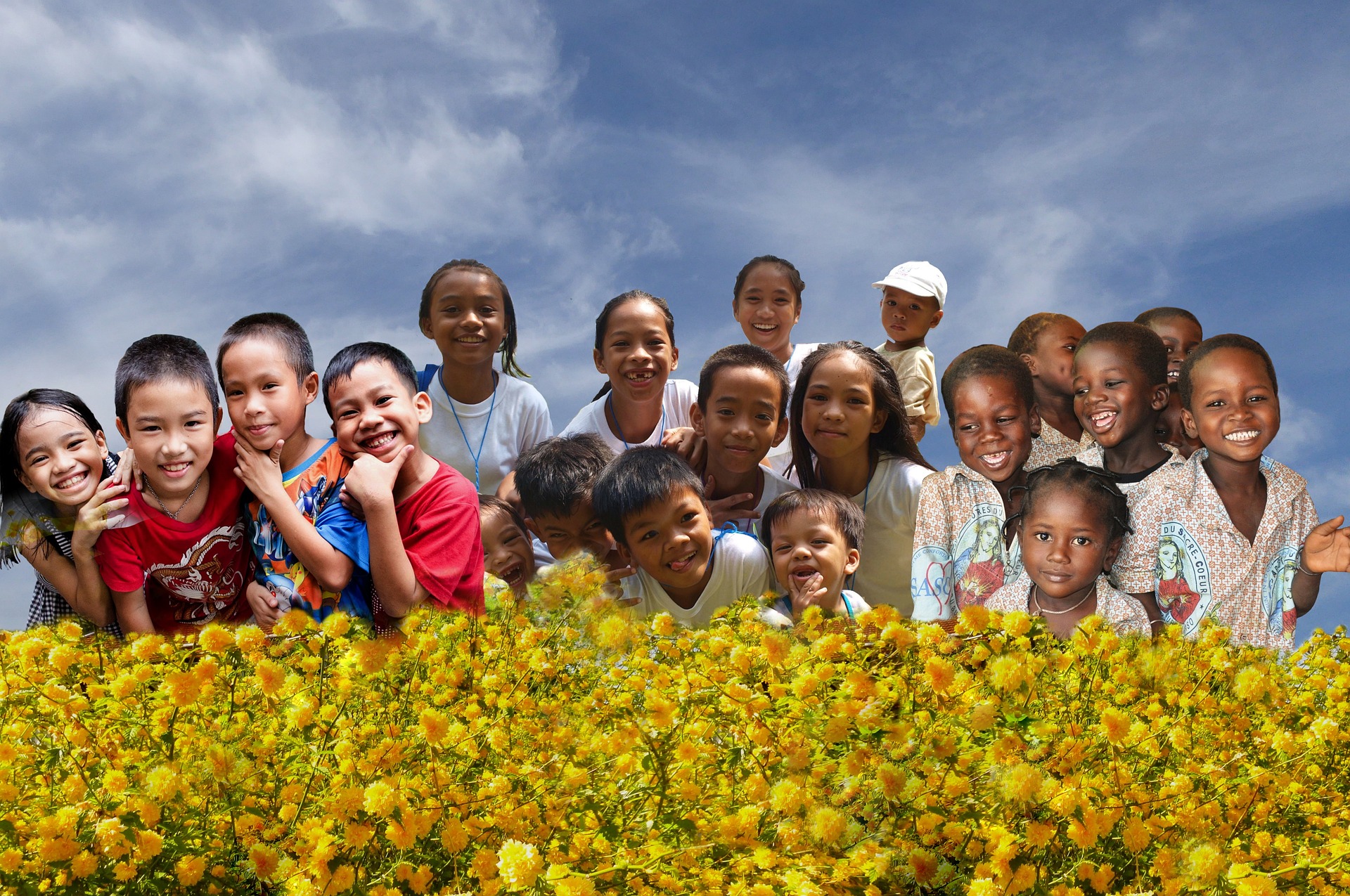 This is an image of a group of twenty children with a field of yellow flowers in the foreground, and blue sky with wispy clouds in the background. The children show a number of different traits, including skin colour and facial features.