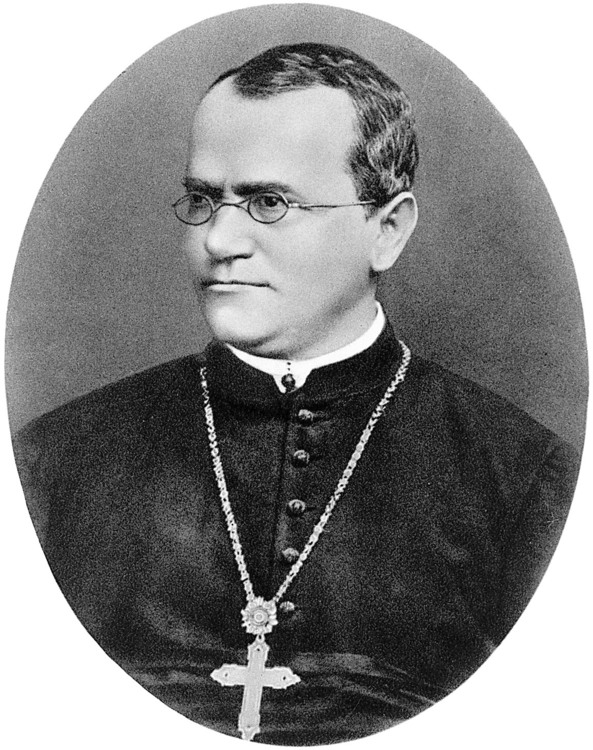 This is an image of Gregor Mendel. The image is in black and white and is oval. Only his chest and head can be seen. He is wearing an abbot's cassock as well as round-framed glasses. He also has a large cross and chain around his neck. The image is in portrait style, and he is looking to the left.