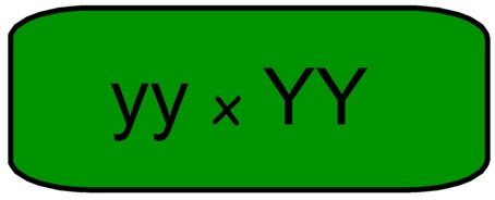 This is an image of a horizontal green rectangle with a black border. The rectangle contains the label ‘yy x YY’ in black letters.