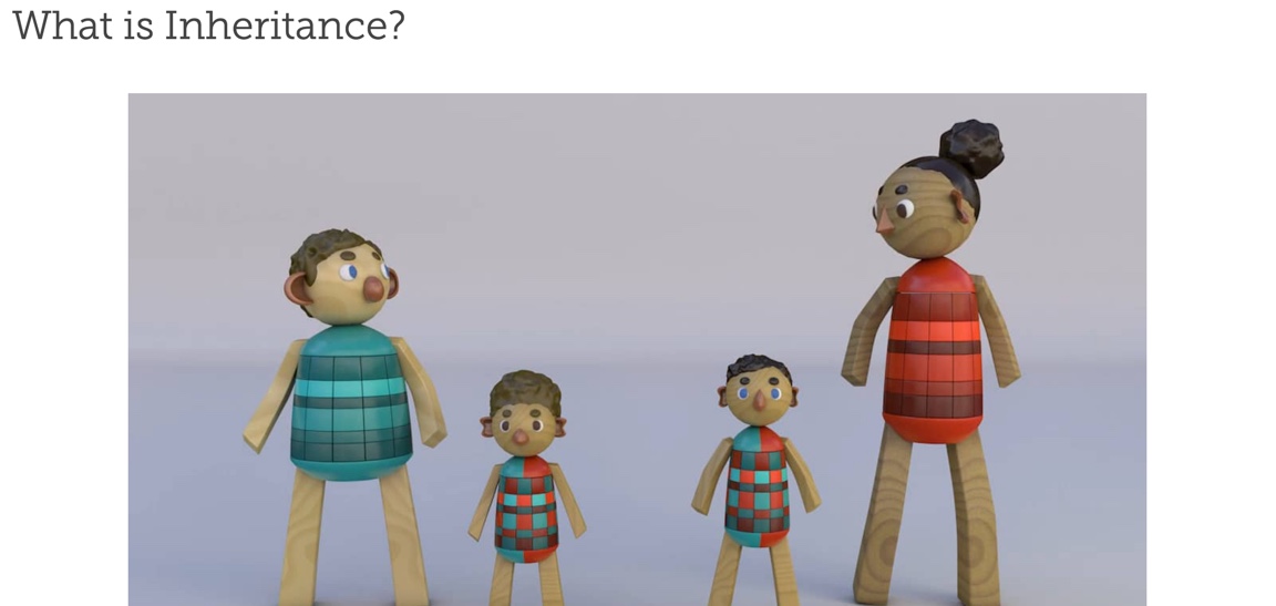 This is an image of screenshot for the What Is Inheritance video.
