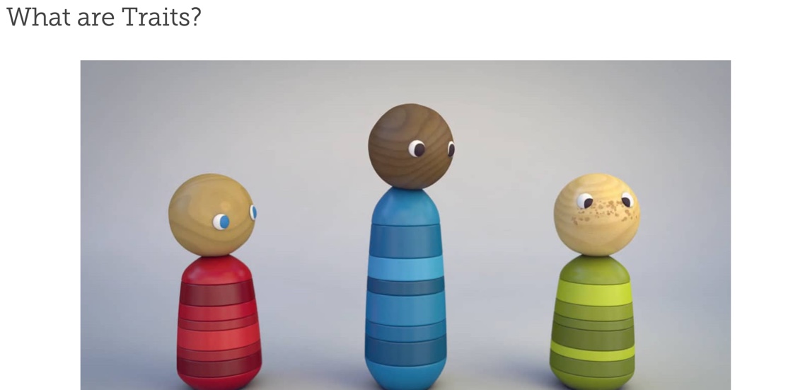 This is an image of the screenshot for the What Are Traits video.