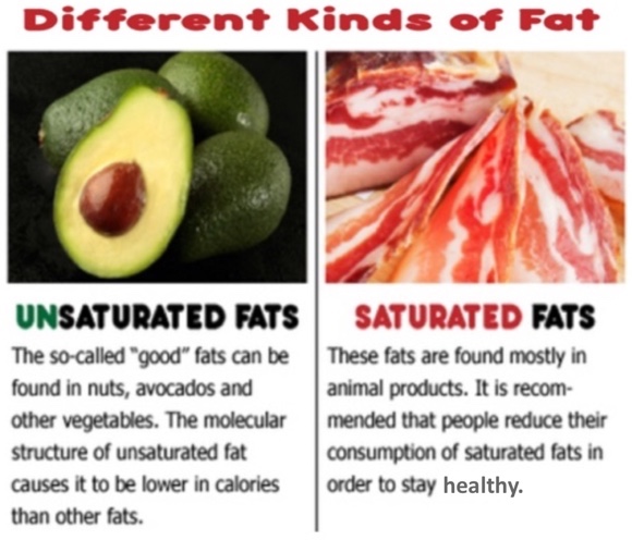 This is an image showing different forms of fat. The title along the top in red lettering reads ‘Different Kinds of Fat.' Below the title are two columns. The left column has an image of three whole avocados on a black background with a fourth cut in half to reveal the flesh and round, brown pit inside.  The label ‘Unsaturated Fats’ is below it, with the ‘Un’ part in green letters and the rest in black. Under that is the text ‘The so-called ‘good’ fats can be found in nuts, avocados, and other vegetables. The molecular structure of unsaturated fat causes it to be lower in calories than other fats.’ The column to the right has an image of strips of uncooked bacon spread out in a fan shape on a light wooden surface. Below the image is the title ‘Saturated Fats’, with the ‘Saturated’ part in red letters and the rest in black. Below that is the text ‘These fats are found mostly in animal products. It is recommended that people reduce their consumption of saturated fats in order to stay healthy.’