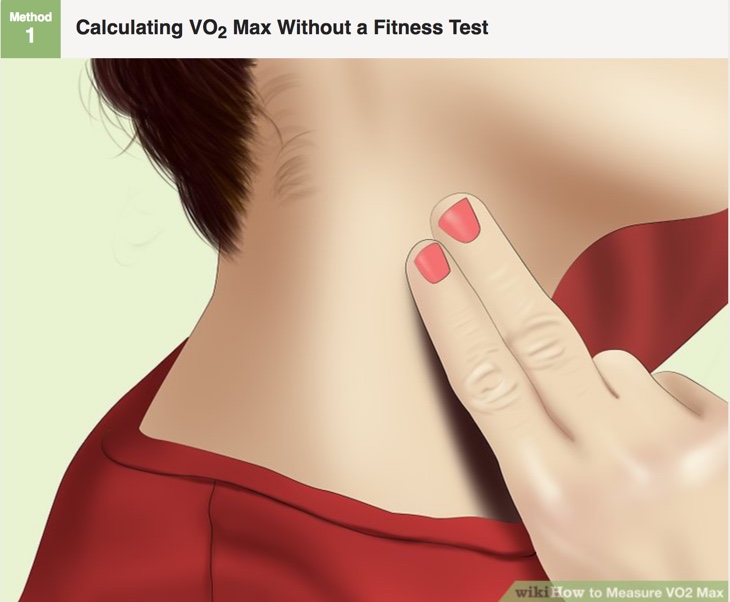 This is a screenshot of the VO2max instruction website.