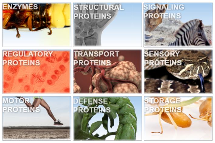 This is a screen capture of the video.