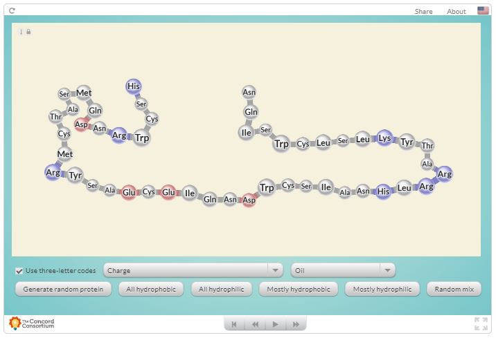 This is a screen capture of the website interactive.