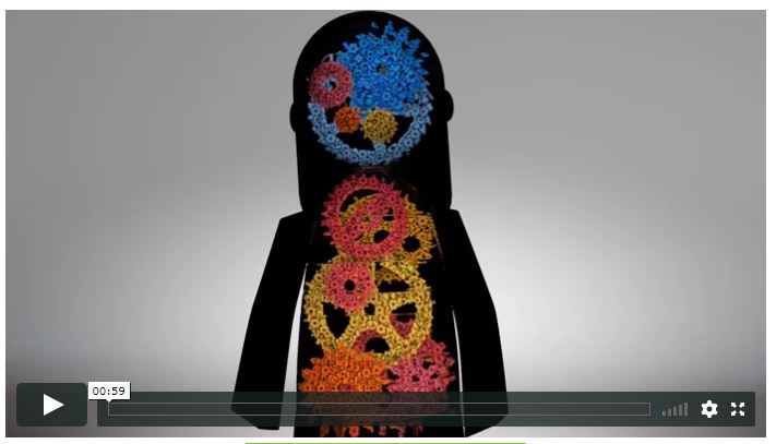 This is a screen capture of the beginning of the video.