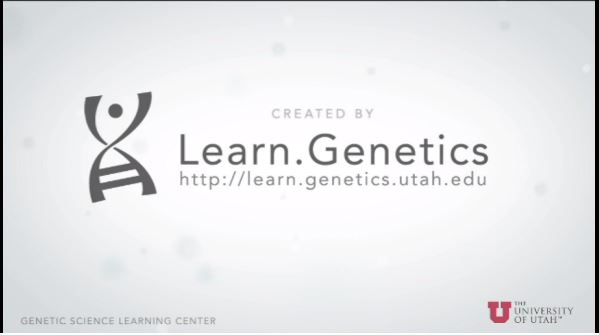 This is a screen capture of the video.