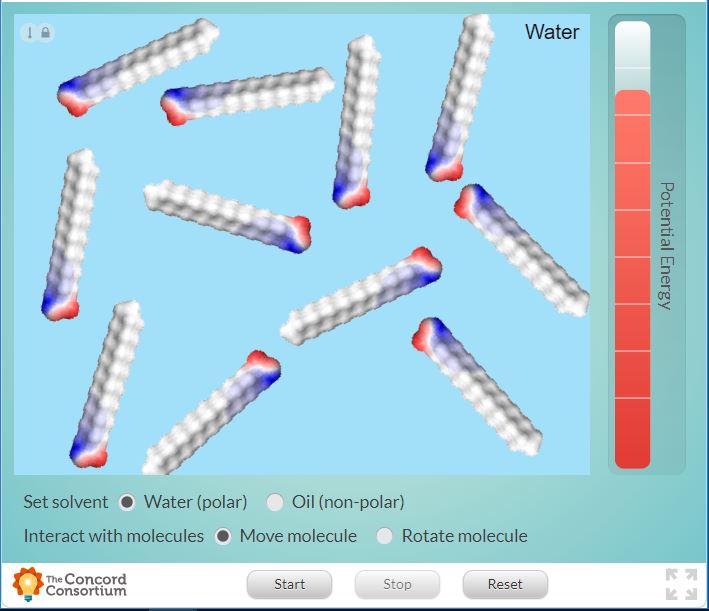This is a screen capture of the interactive.