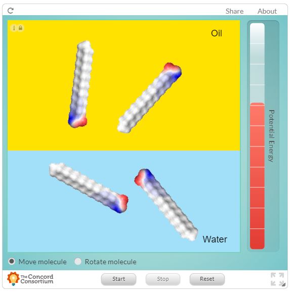 This is a screen capture of the website.