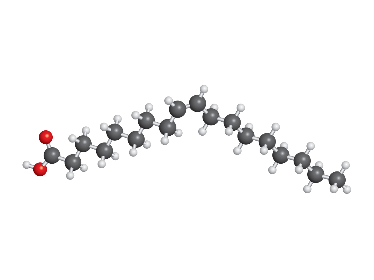 A long zigzagging chain of carbon atoms bonded to hydrogens. The molecule is bent, concave down in the middle. The left end of the molecule includes oxygen atoms in a carboxyl group.