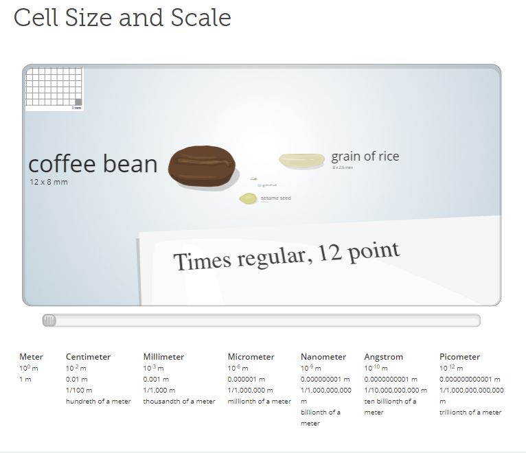 This is a screen capture of the website.