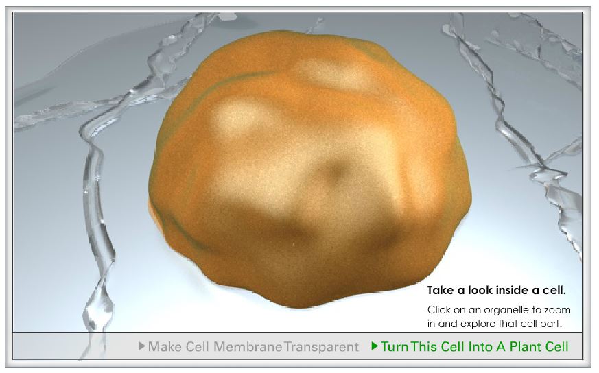 This is a screen capture of the website.