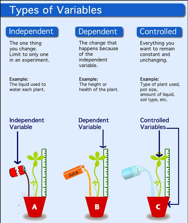 Picture of three plants in pots being watered with different liquids: Cola, Juice or Water. There is a ruler in each pot. The independent variable is the one thing you change, for example the type of liquid given. The dependent variable is the change that happens because of the independent variable, for example the height of plant growth. Controlled variables are everything you want to remain constant, for example type of plant or amount of liquid given.